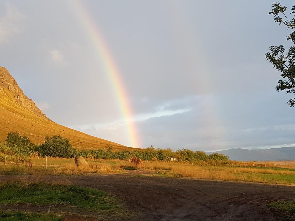 Гостевой дом Mithjanes Reykholahrepp Рейкхолар Экстерьер фото