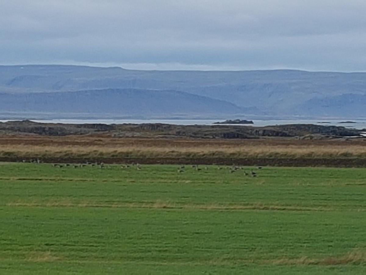 Гостевой дом Mithjanes Reykholahrepp Рейкхолар Экстерьер фото