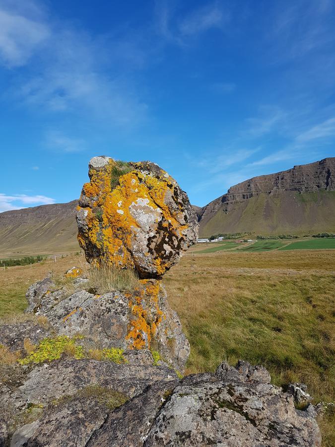 Гостевой дом Mithjanes Reykholahrepp Рейкхолар Экстерьер фото